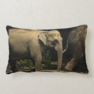 Coussin Rectangle Beau éléphant