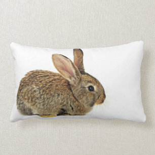 Coussin Rectangle Beau lapin