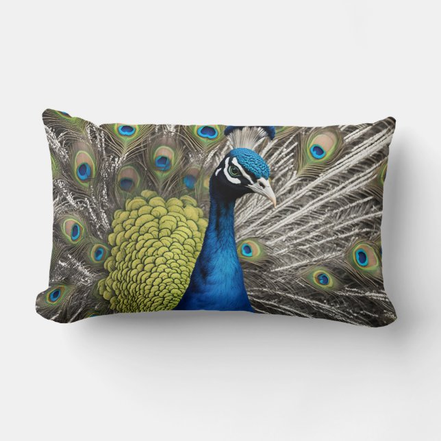 Coussin Rectangle Beau Peacock (Recto)