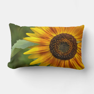 Coussin Rectangle Beauté des tournesols