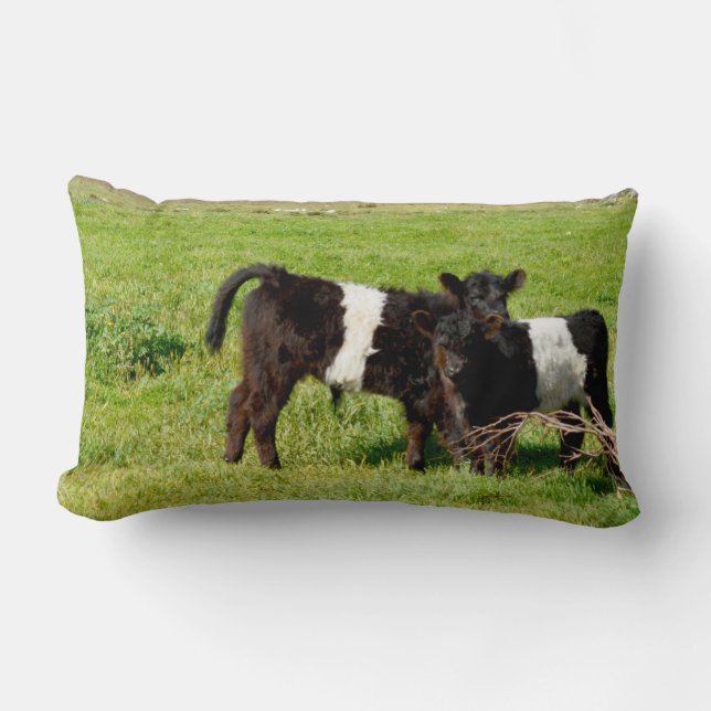 Coussin Rectangle Bébé Galloway Calves, Lumbar Cushion (Recto)