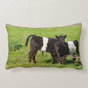 Coussin Rectangle Bébé Galloway Calves, Lumbar Cushion