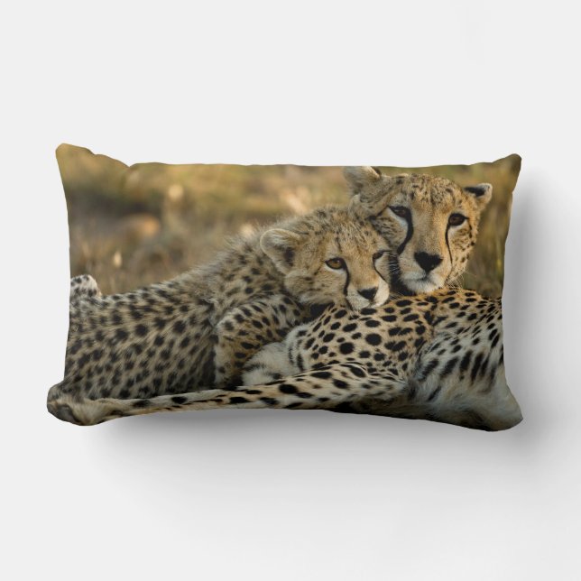 Coussin Rectangle Bébé guépard câlinant avec sa mère (Recto)