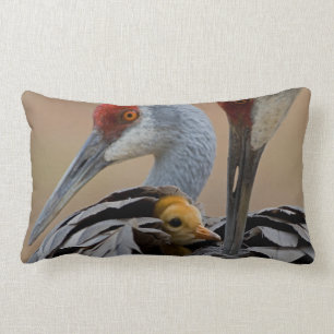 Coussin Rectangle Bébé Sandhill