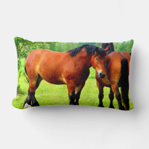 Coussin Rectangle Belle Baie Ébauche Cheval Dans La prairie Verte