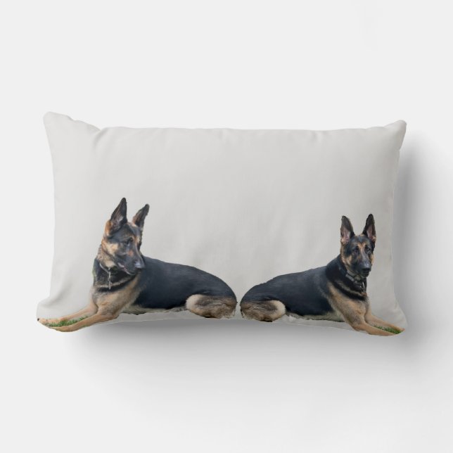 COUSSIN RECTANGLE BERGER ALLEMAND  (Recto)