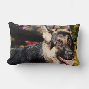 Coussin Rectangle berger allemand par Shirley Taylor