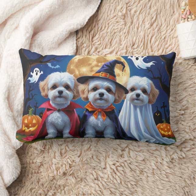 Coussin Rectangle Bichon Frise Chiens Citrouille Halloween Funny (Couverture)