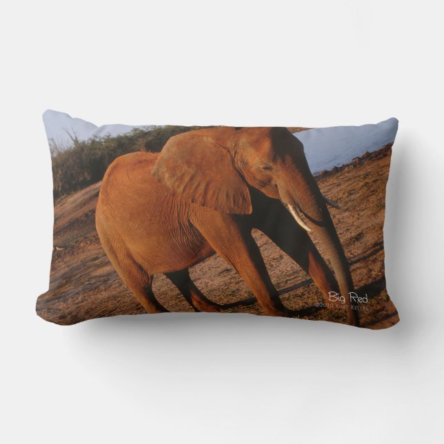 Coussin Rectangle Big Red (Recto)