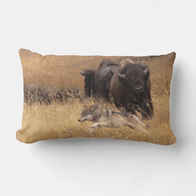 Coussin Rectangle Bison, femelle, et loup de Taureau (Recto)