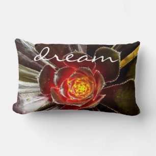 Coussin Rectangle Black Cactus Photo Dream Citation Script Bold Mode