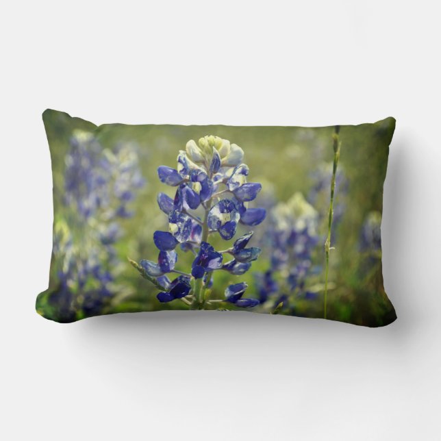 Coussin Rectangle Bluebonnet (Recto)