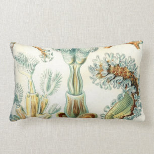Coussin Rectangle Bryozoaires de Haeckel