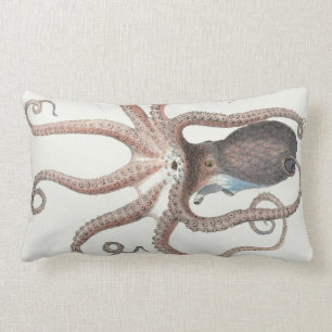 Coussin Rectangle Calmar géant/poulpe/sous-marin/20" océanique