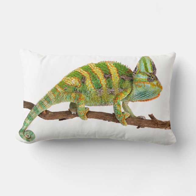 Coussin Rectangle Caméléon (Recto)