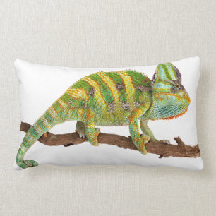 Coussin Rectangle Caméléon