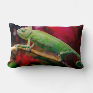 Coussin Rectangle Caméléon vert sur la branche