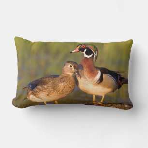 Coussin Rectangle Canards branchus et femelle sur un rondin en zone 