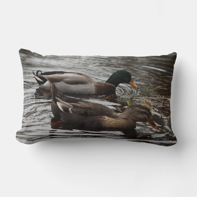 Coussin Rectangle Canards de Mallard sur une photo d'étang (Recto)