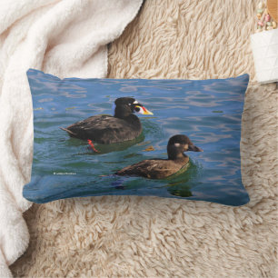 Coussin Rectangle Canards Scoter Surf mâle et femelle à la jetée