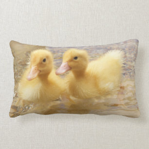 Coussin Rectangle Canetons jaunes brouillés des images   de Getty