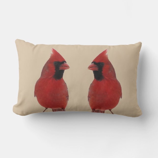 Coussin Rectangle Cardinal (Recto)