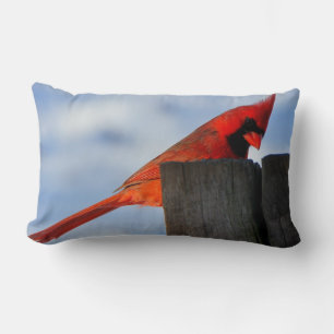 Coussin Rectangle Cardinal rouge sur la souche en bois