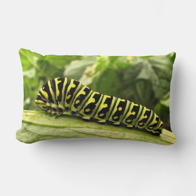 Coussin Rectangle Caterpillar noire (Recto)