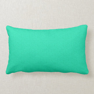 Coussin Rectangle "Charge statique de turquoise", carreau 13x21