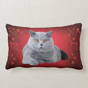 Coussin Rectangle Chat britannique d'amour de shorthair