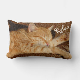 Coussin Rectangle Chat de détente
