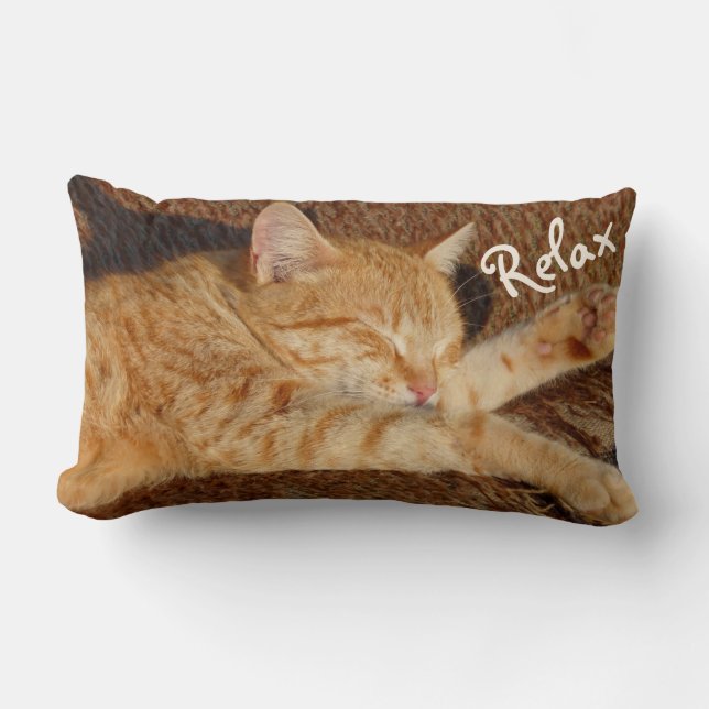 Coussin Rectangle Chat de détente (Recto)
