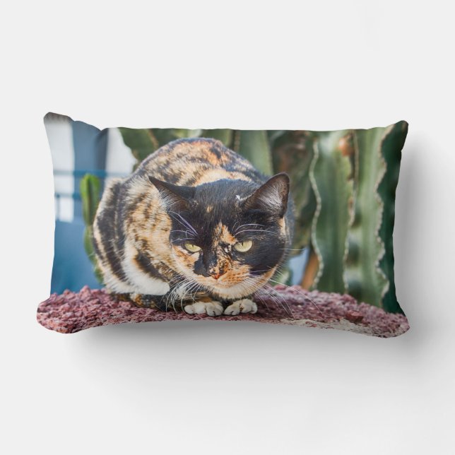 Coussin Rectangle Chat Maspalomas (Recto)