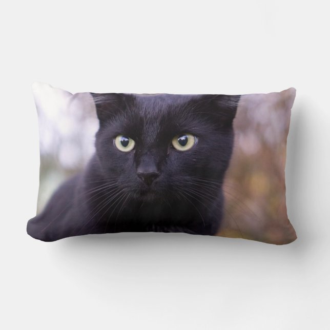 Coussin Rectangle chat noir (Recto)