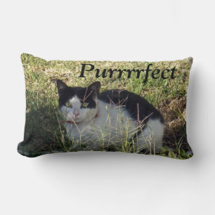 Coussin Rectangle Chat Noir Et Blanc,