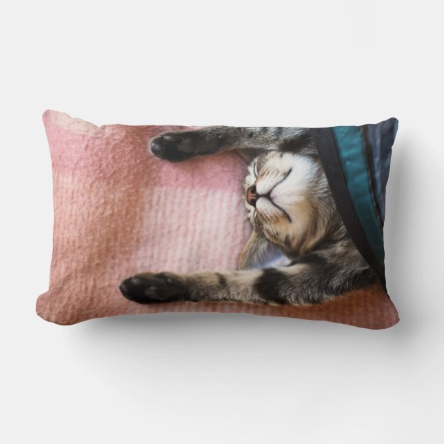 Coussin Rectangle Chaton de sommeiller (Recto)