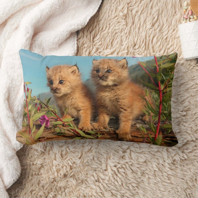 Coussin Rectangle Chatons Lynx Canadien, Alaska (Couverture)