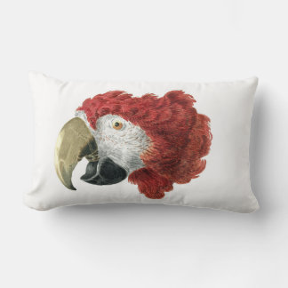 Coussin Rectangle Chef d'une Macaw (1725-1792) Aert Schouman