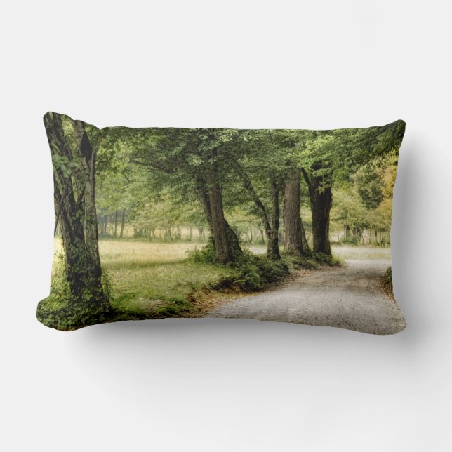Coussin Rectangle Chemin dans le pays (Recto)