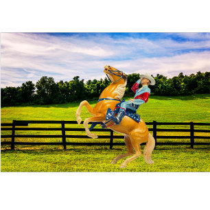 Coussin Rectangle Cheval et Cowboy