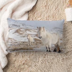 Coussin Rectangle Cheval islandais Blonduos, Islande