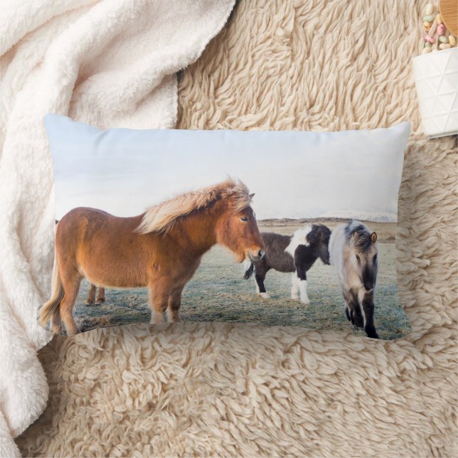 Coussin Rectangle Cheval islandais en hiver en Islande (Couverture)
