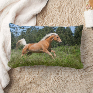Coussin Rectangle Cheval Palomino traversant une prairie