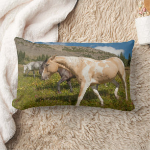 Coussin Rectangle Chevaux et Mules