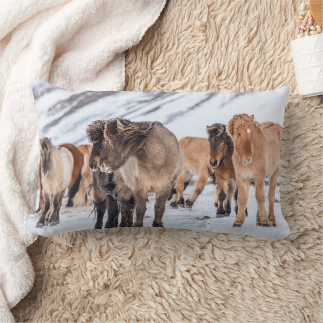 Coussin Rectangle Chevaux islandais dans les pâturages d'hiver près  (Couverture)