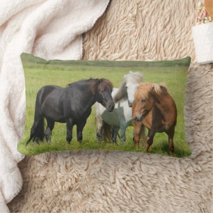 Coussin Rectangle Chevaux sur le Ranch, sud de l'Islande