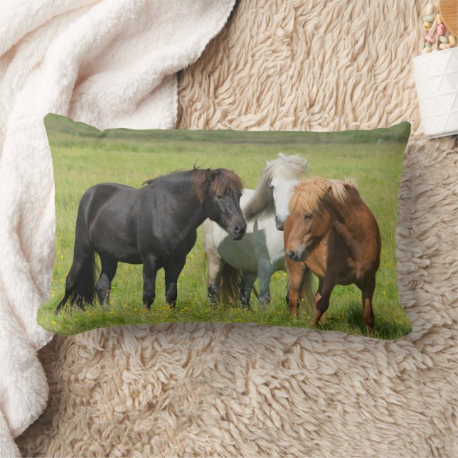 Coussin Rectangle Chevaux sur le Ranch, sud de l'Islande (Couverture)