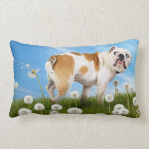 Coussin Rectangle Chien avec Dandelion