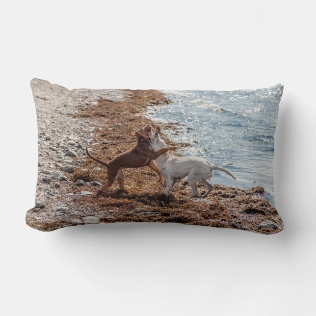 Coussin Rectangle Chiens sur la plage (Recto)