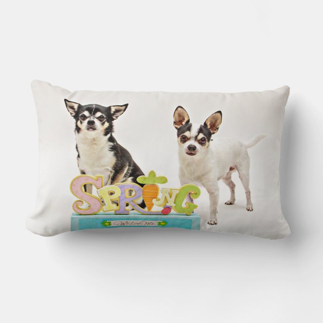 Coussin Rectangle Chihuahua du printemps (Recto)